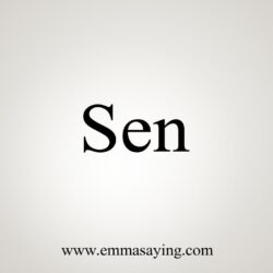 Sen meaning